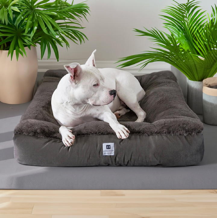 Ruby Puff® Square Ortho Companion-Pedic® Luxury Faux Fur Dog Bed - Animals Matter, Inc.