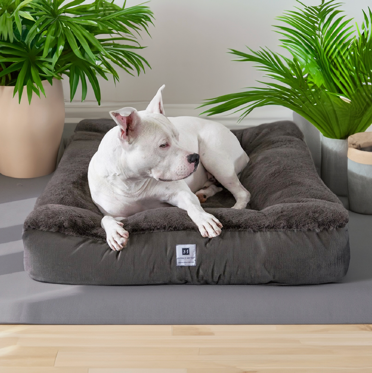 Animals Matter New: Ruby Puff Ortho Lounger Companion-Pedic Luxury Dog Bed S / Light Gray | Premium Pet Supplies for Dogs & Puppies