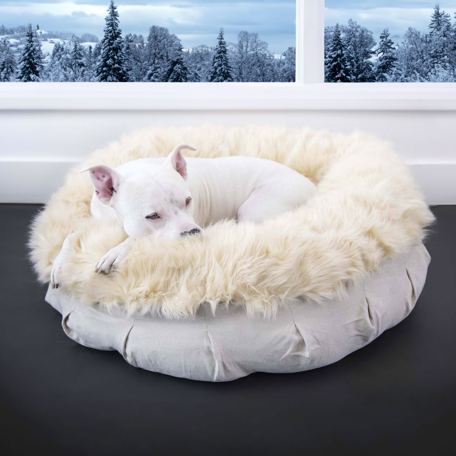 Fancy girl dog beds best sale