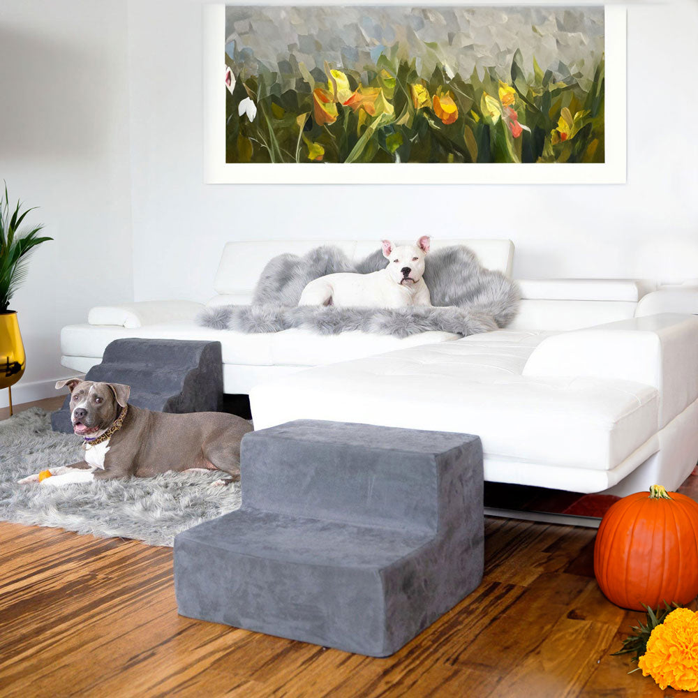 the Companion Stairs® and Ramp in a living room with two dogs and some fall decor on the side (a pumpkin and yellow marigold flowers )