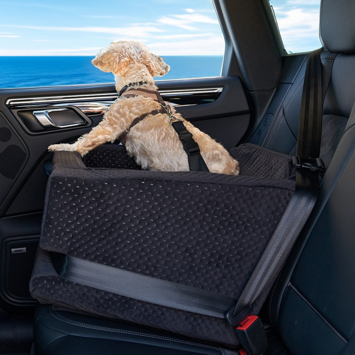 Dog car seat for middle seat deals