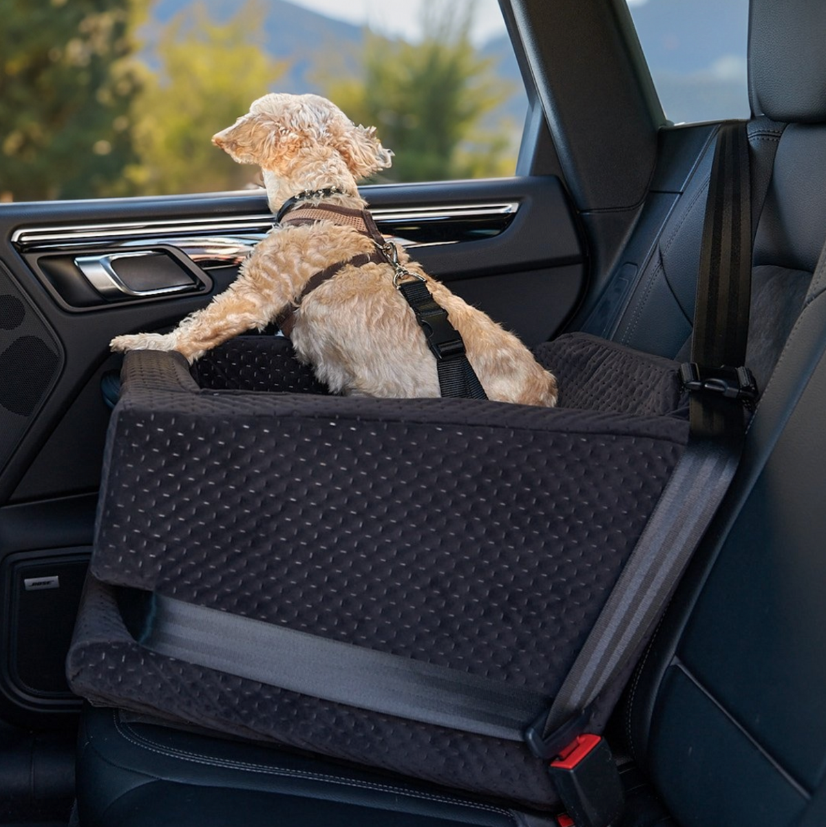 Dog car top seat booster