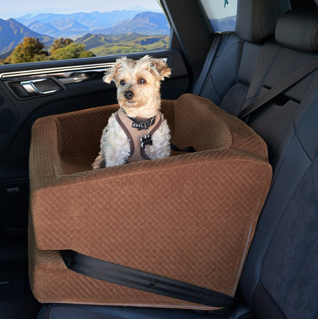 Car booster seat for dogs up to 30lbs best sale