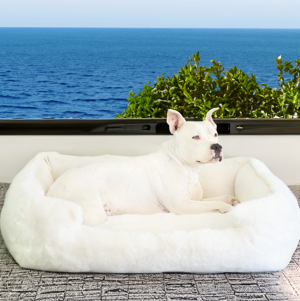 NEW: Ruby Puff® Ortho Lounger Companion-Pedic® Luxury Dog Bed - Animals Matter, Inc.