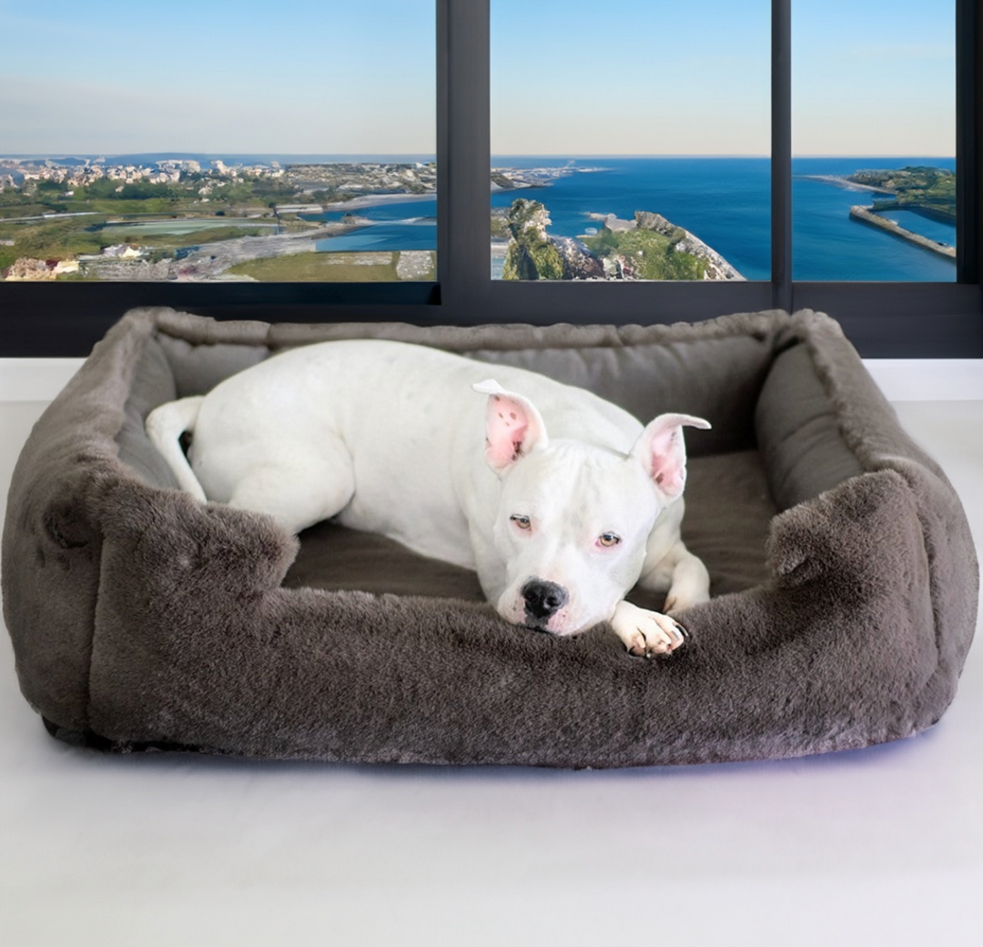 Harmony urban luxe dog bed online
