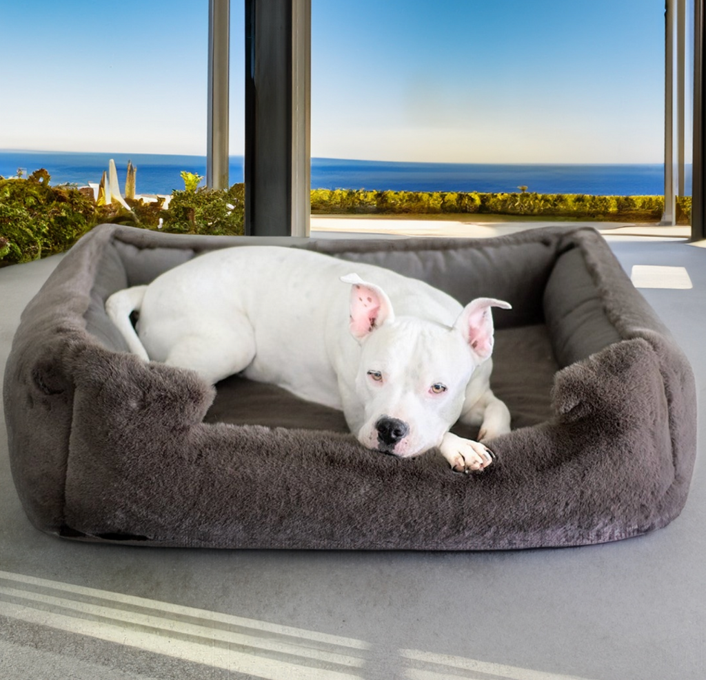 Dog couches hot sale