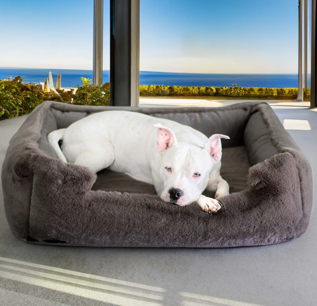 NEW: Ruby Puff® Ortho Lounger Companion-Pedic® Luxury Dog Bed - Animals Matter, Inc.