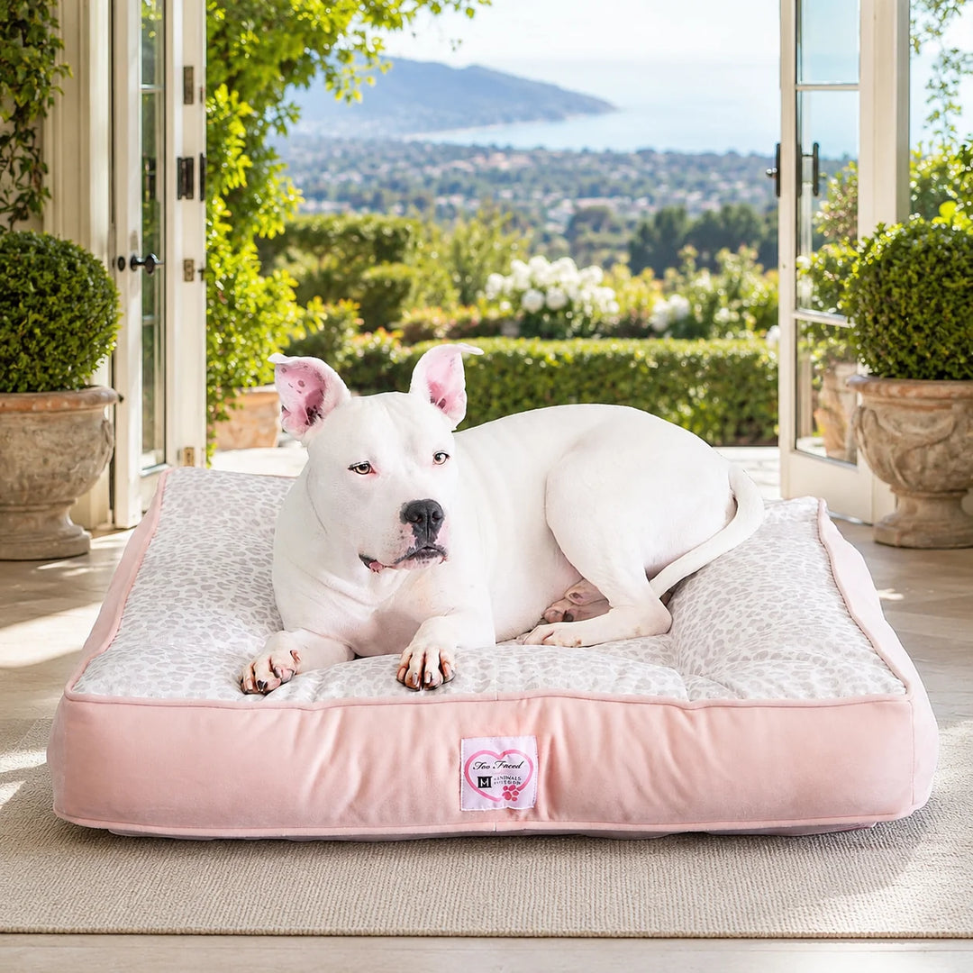 Too Faced® x Animals Matter® Companion-Pedic® Ortho Square™ Luxury Dog Bed, a pale pink orthopedic dog bed with a white dog in a sunlit garden-view home.