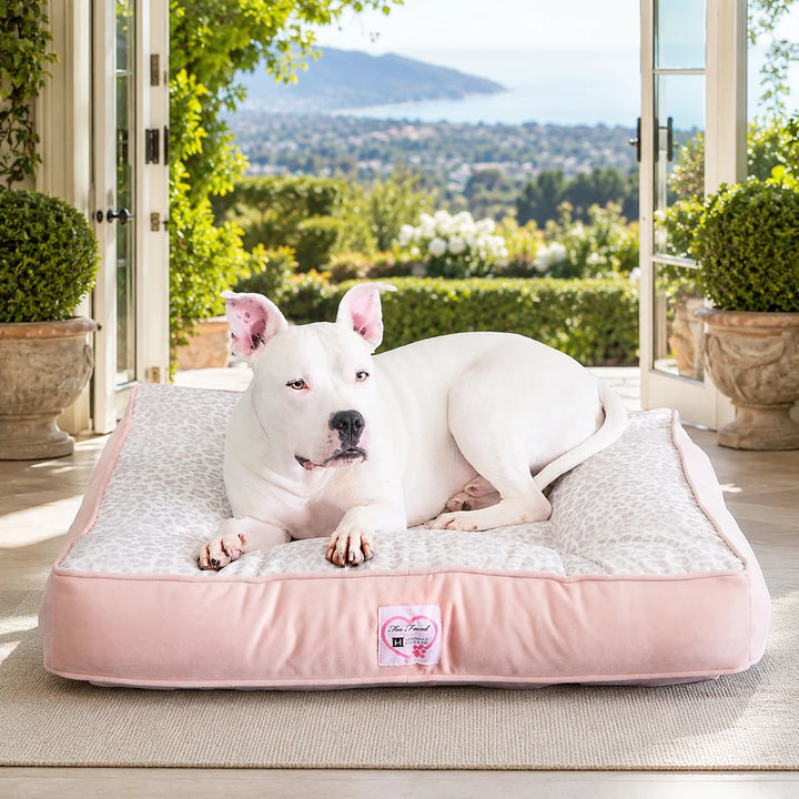 Too Faced® x Animals Matter® Companion-Pedic® Ortho Square™ Luxury Dog Bed, a pale pink orthopedic dog bed with a white dog in a sunlit garden-view home.