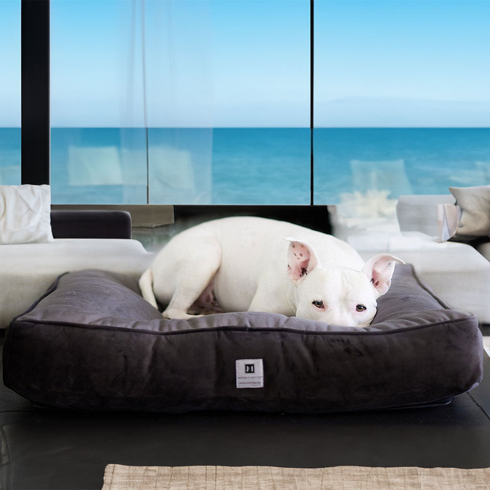 Ali Jewel® Ortho Square™ Companion-Pedic® Luxury Dog Bed - Animals Matter, Inc.