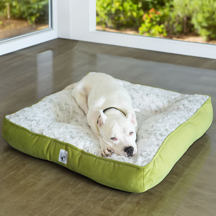 Animals Matter LA Dog Company Pearl Leopard Orthopedic Square Luxury Dog Bed in Celery Leopard.