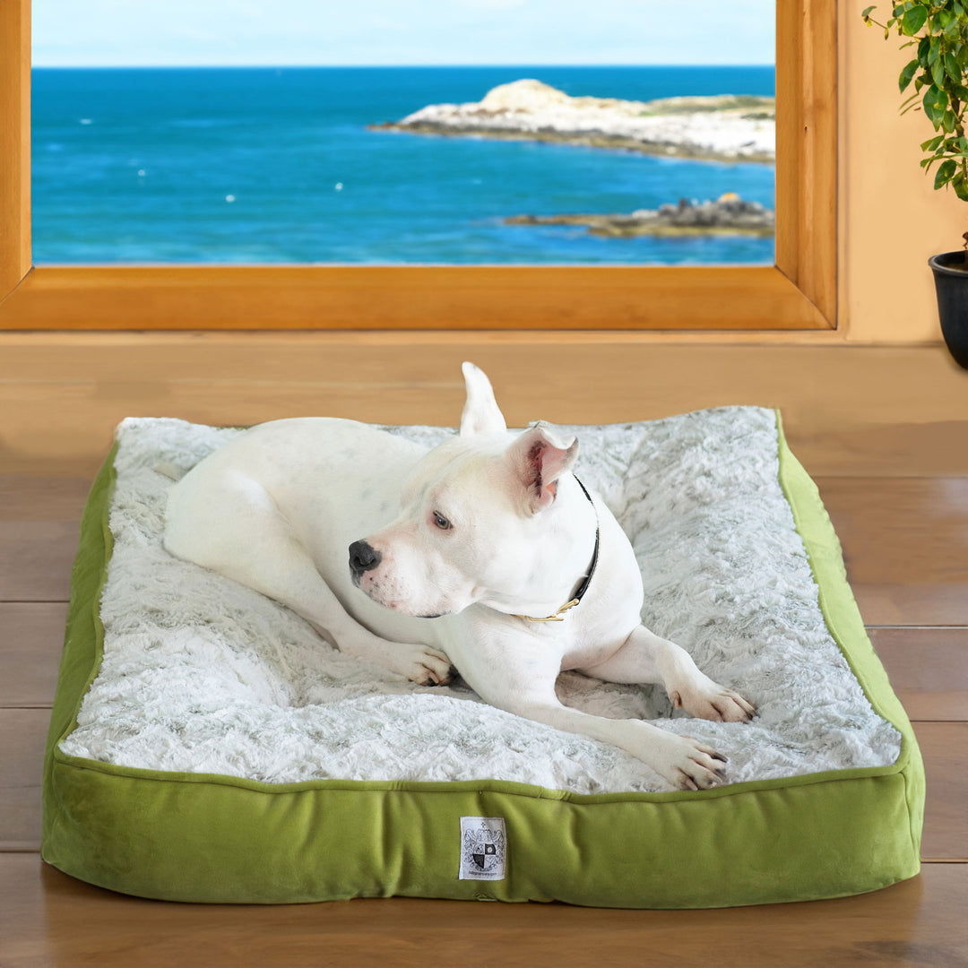 Animals Matter LA Dog Company Pearl Leopard Orthopedic Square Luxury Dog Bed in Celery Leopard.