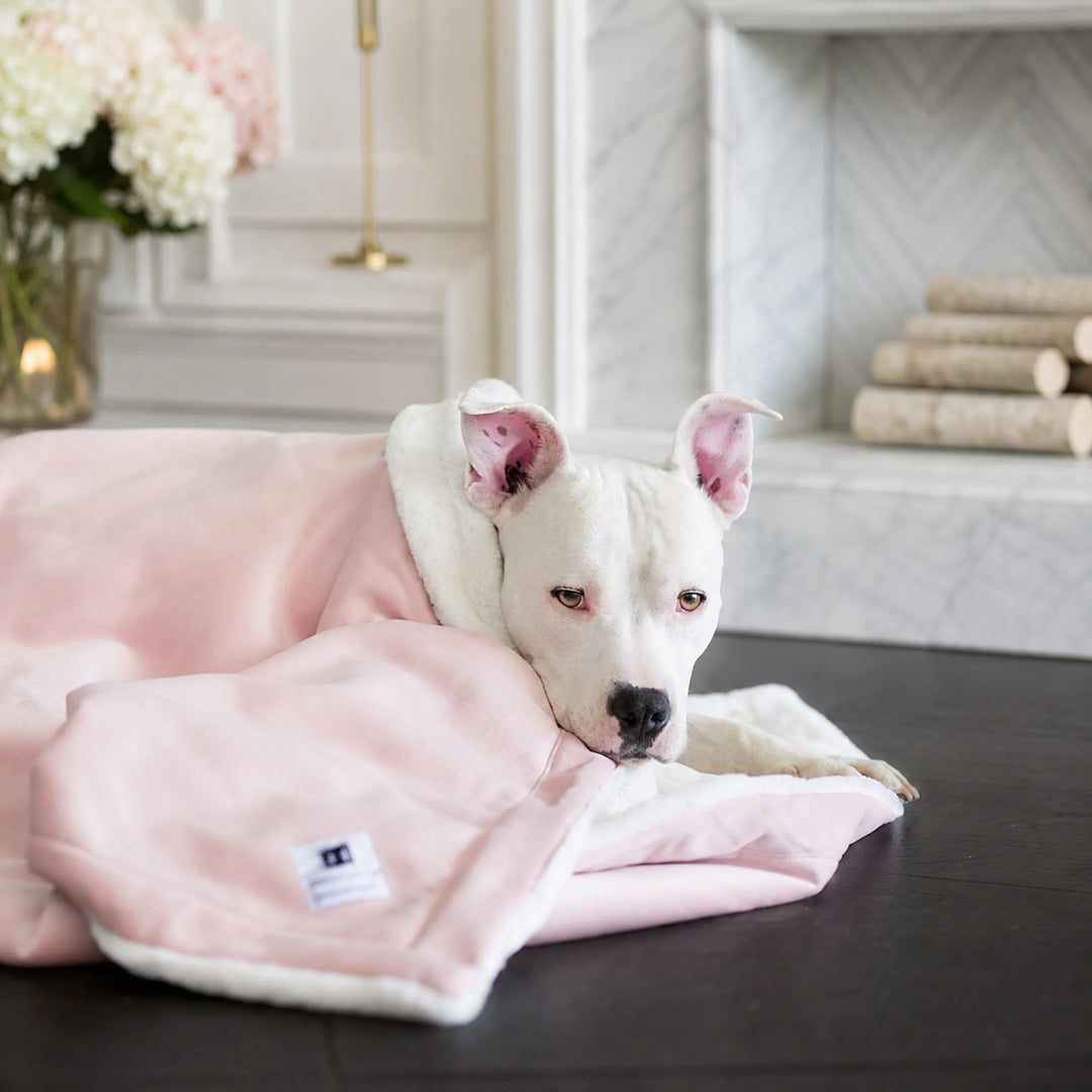 Animals Matter Ali Jewel Blanket in Ice Pink, featuring a white Companion wrapped in a soft luxury dog blanket near a marble fireplace.