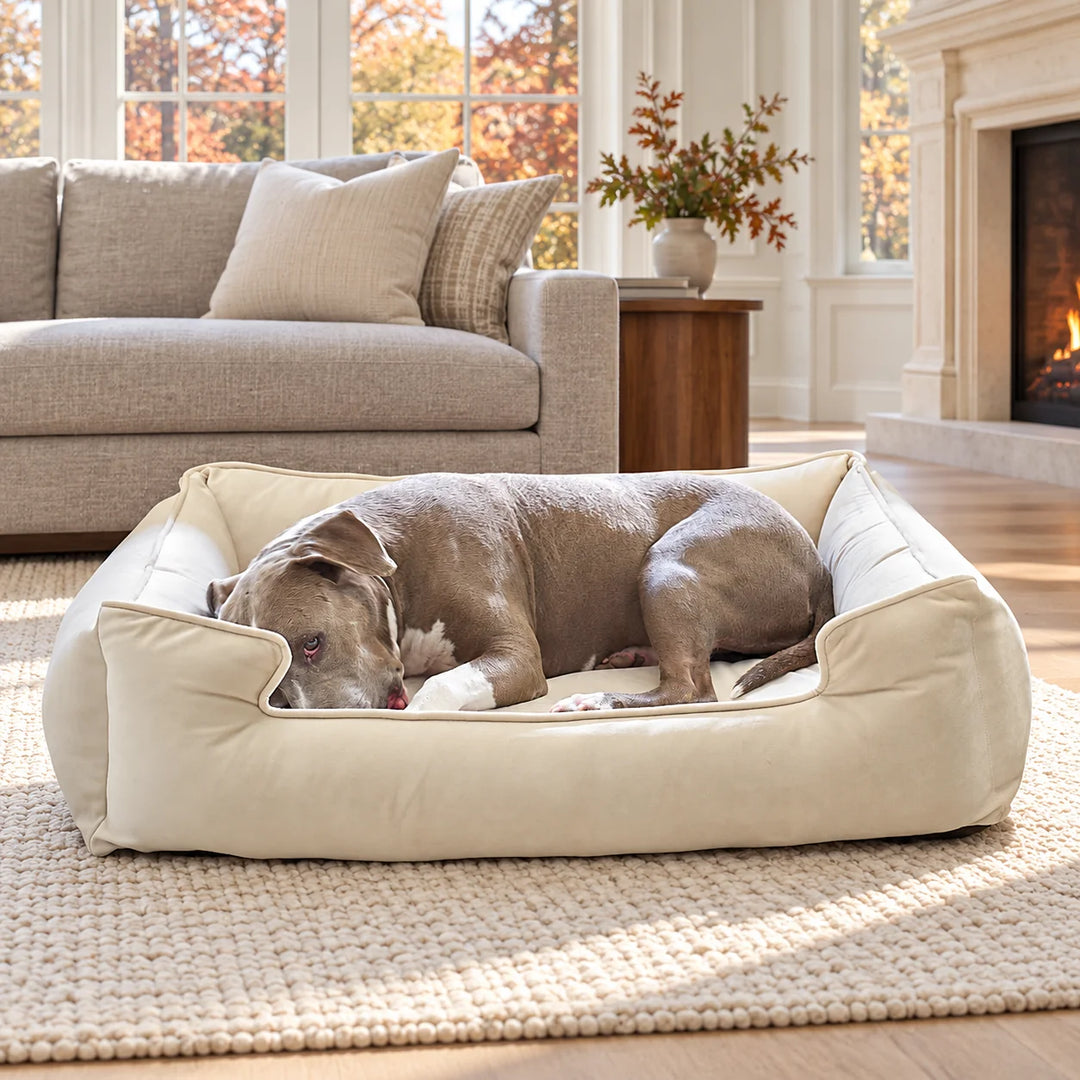 Ali Jewel Ortho Lounger orthopedic dog bed in Diamond Sand with a gray dog asleep by a fireplace in an autumn living room