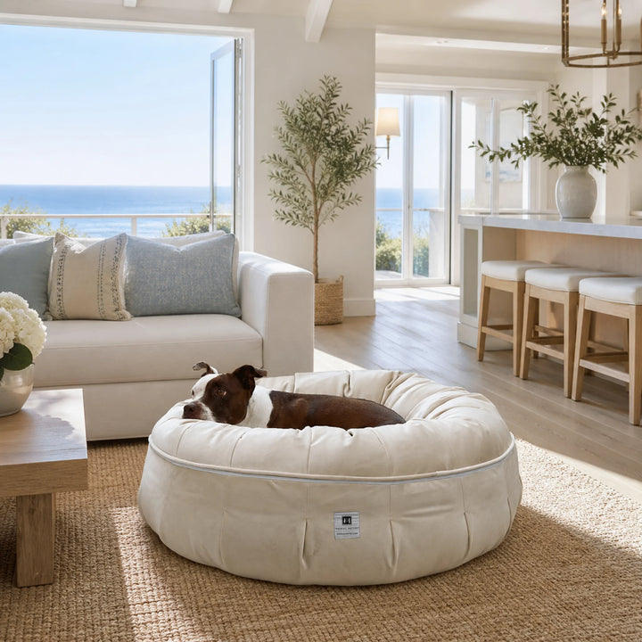 Animals Matter Ali Jewel Ortho Puff luxury orthopedic dog bed in Diamond Sand, featuring a Companion resting in a bright oceanfront living room.