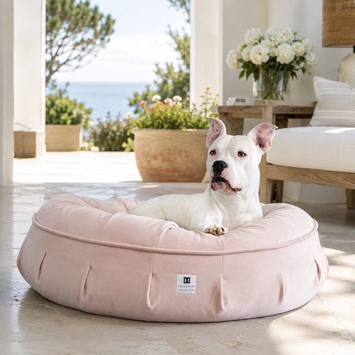 Animals Matter Ali Jewel Ortho Puff luxury orthopedic dog bed in Ice Pink, featuring a white Companion in a soft coastal living space.