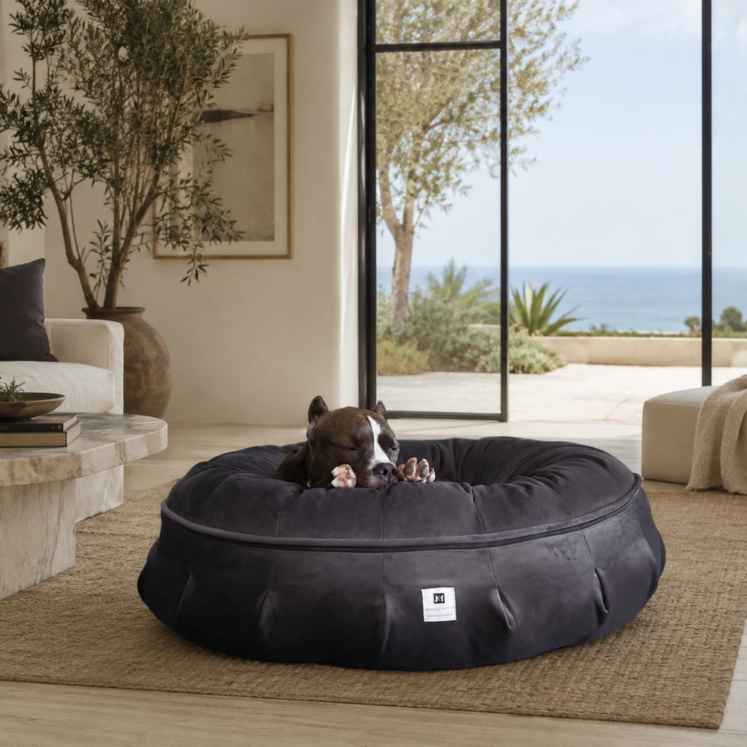 Animals Matter Ali Jewel Ortho Puff luxury orthopedic dog bed in Platinum Grey, featuring a Companion sleeping in a refined coastal home.