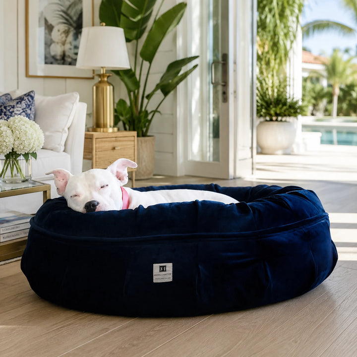 Animals Matter Ali Jewel Ortho Puff luxury orthopedic dog bed in Sapphire Cobalt, featuring a white Companion sleeping in a luxury coastal home.