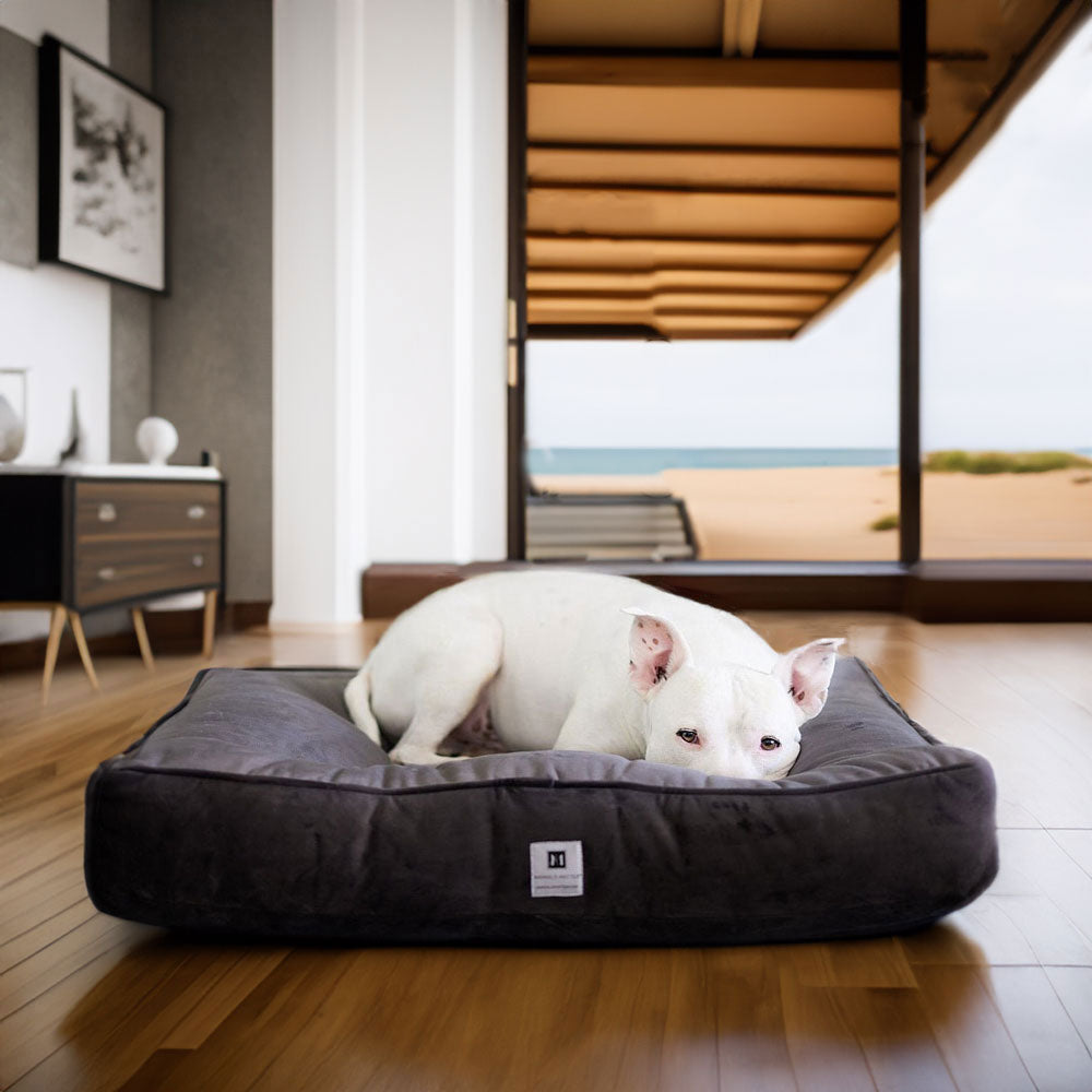 Ali Jewel® Ortho Square™ Companion-Pedic® Luxury Dog Bed - Animals Matter, Inc. in platinum grey , part of the luxury dog bed collection 