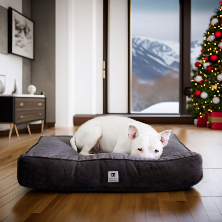 Ali Jewel® Ortho Square™ Companion-Pedic® Luxury Dog Bed - Animals Matter, Inc.