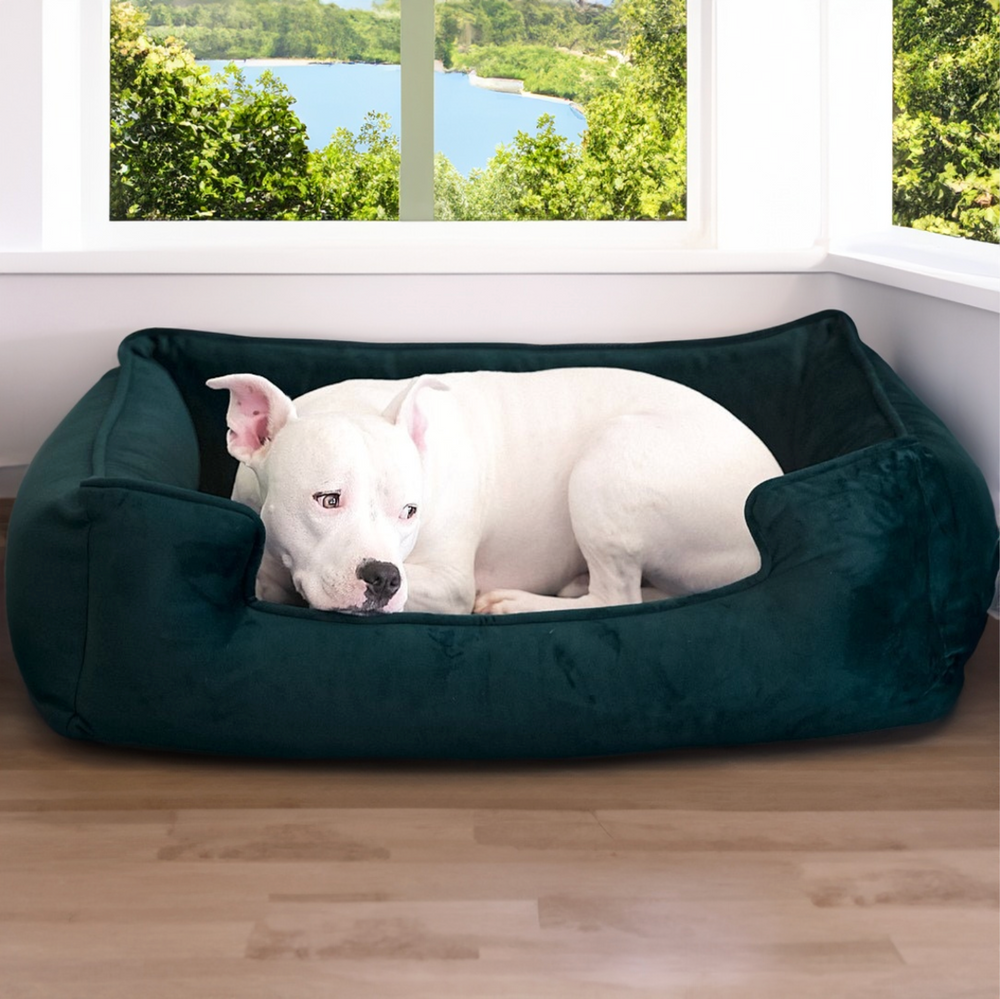 Ali Jewel Ortho Lounger® Companion-Pedic® Luxury Dog Bed - Animals Matter, Inc.