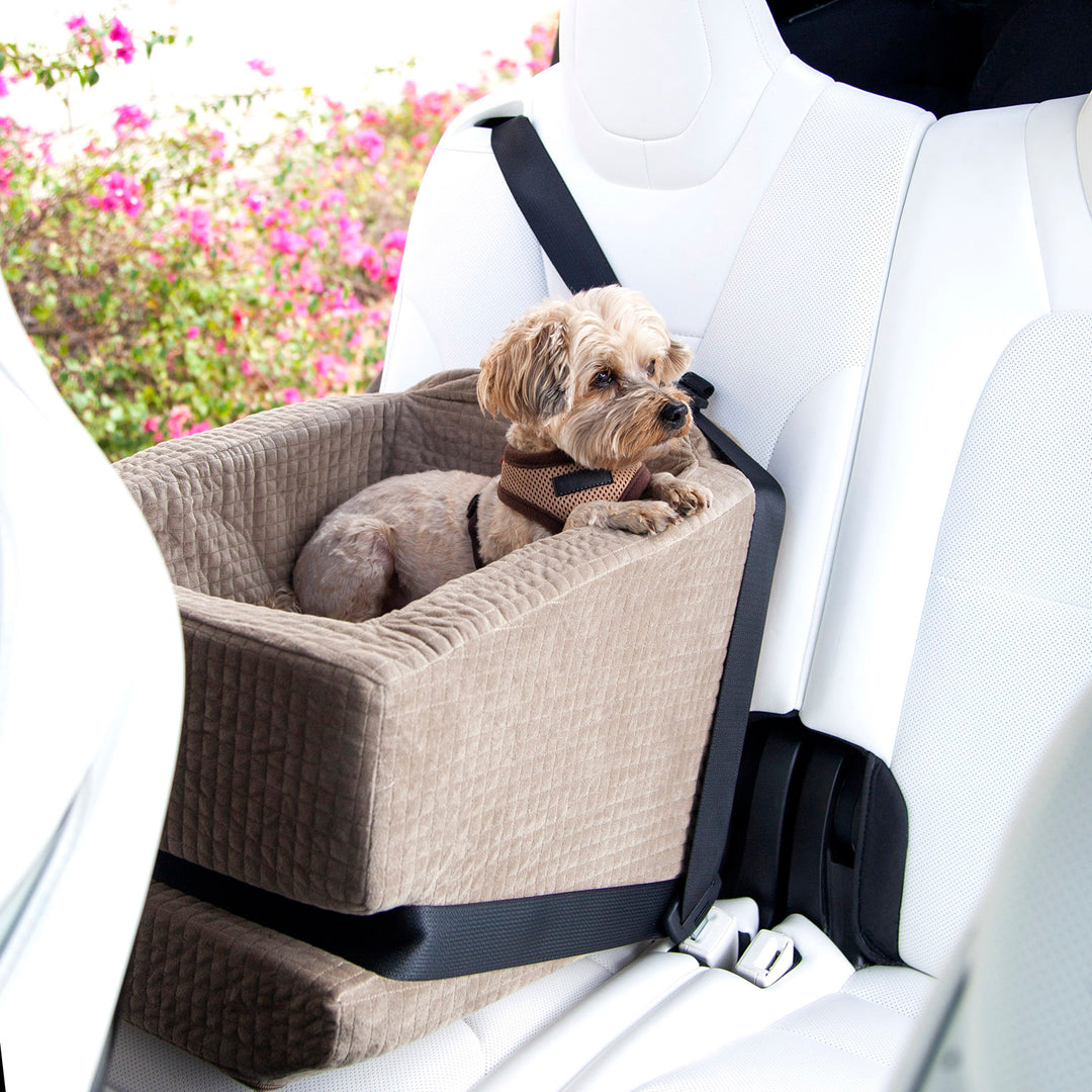 Travel in style and comfort with Animals Matter Companion Car Seat