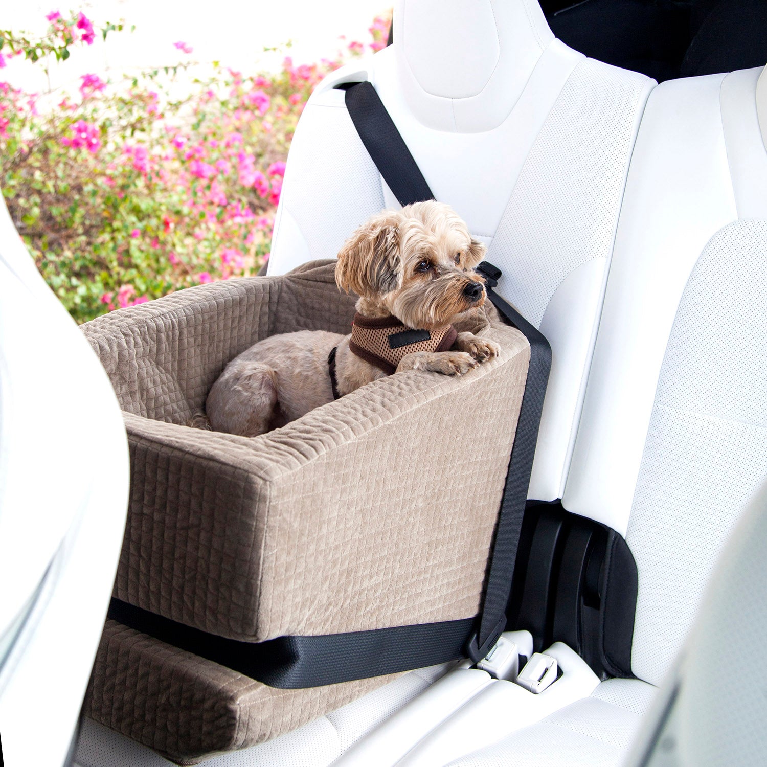 Animals Matter® Companion Car Seat® Installation Guide - Animals Matter ...