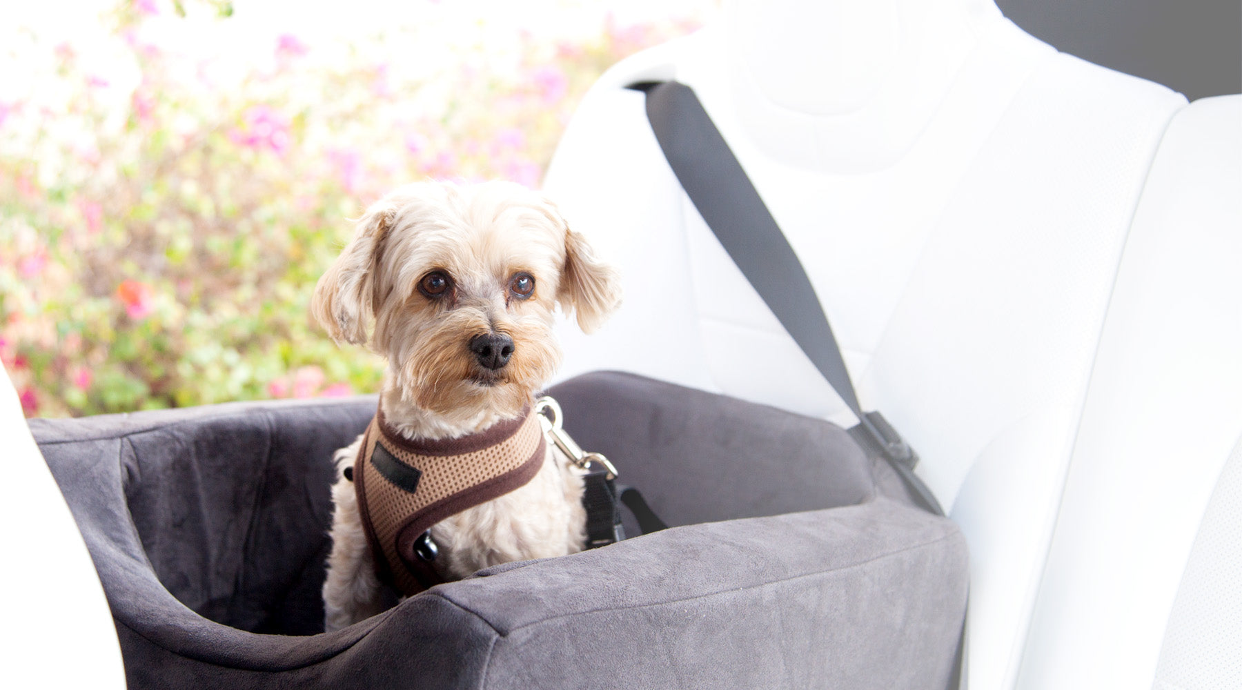 Animals Matter® Companion Car Seat® Charcoal