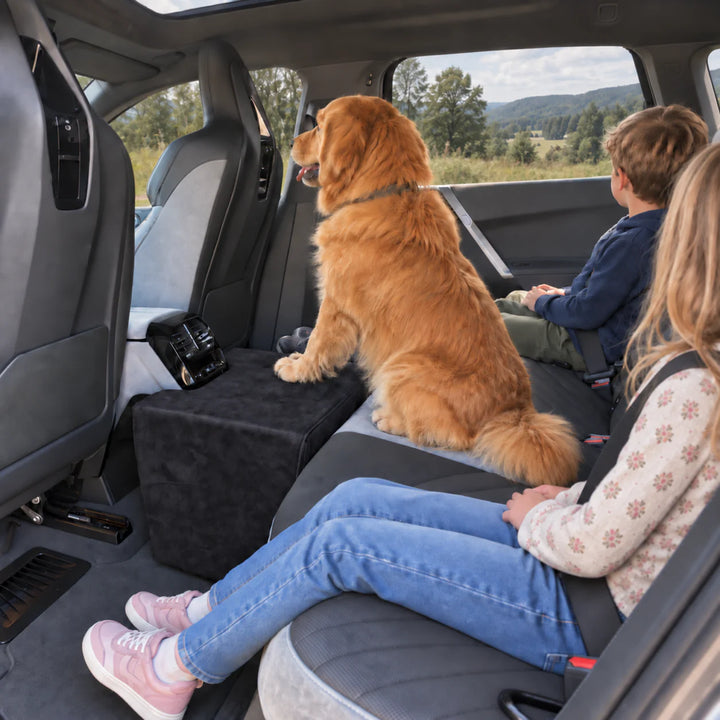 Golden Retriever sitting on the Black Center Seat Extender beside the rear console on a family drive
