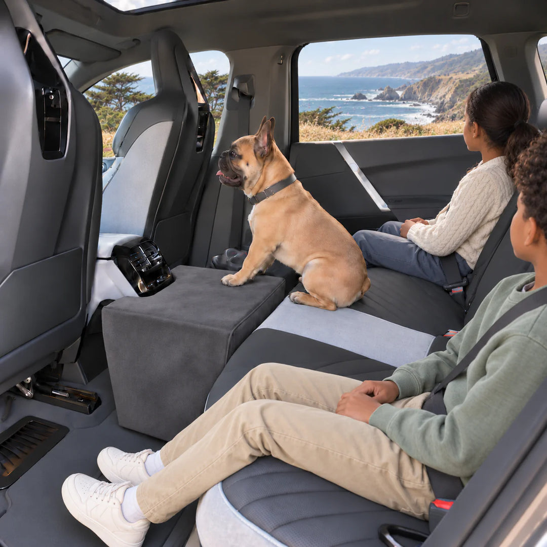 French Bulldog on the Charcoal Center Seat Extender next to the rear console while two children ride in back