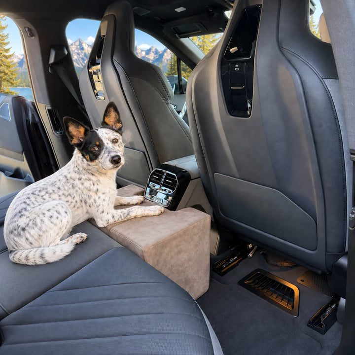 Cattle dog resting on the Stone Center Seat Extender, which fits around the rear center console of an SUV