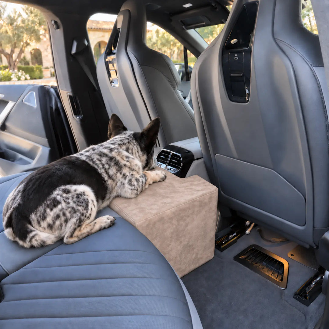 Cattle dog stretched across the back seat and Stone Center Seat Extender, filling the footwell beside the console