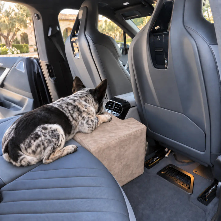 Cattle dog stretched across the back seat and Stone Center Seat Extender, filling the footwell beside the console
