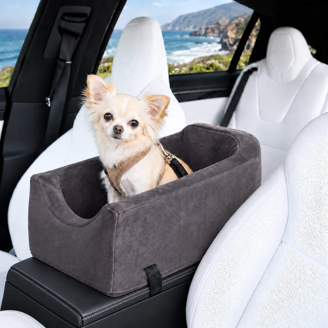 Animals Matter Companion Car Seat SUV Console™ in Charcoal, a luxury console dog car seat with a small cream Companion inside a white SUV overlooking the coast.