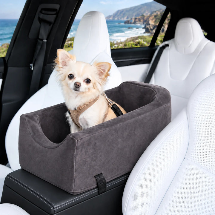 Animals Matter Companion Car Seat SUV Console™ in Charcoal, a luxury console dog car seat with a small cream Companion inside a white SUV overlooking the coast.