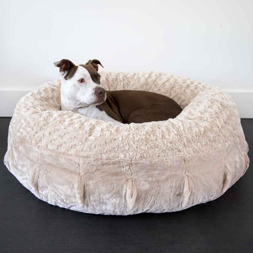 Animals Matter Katie Puff Camel Luxury Dog Bed