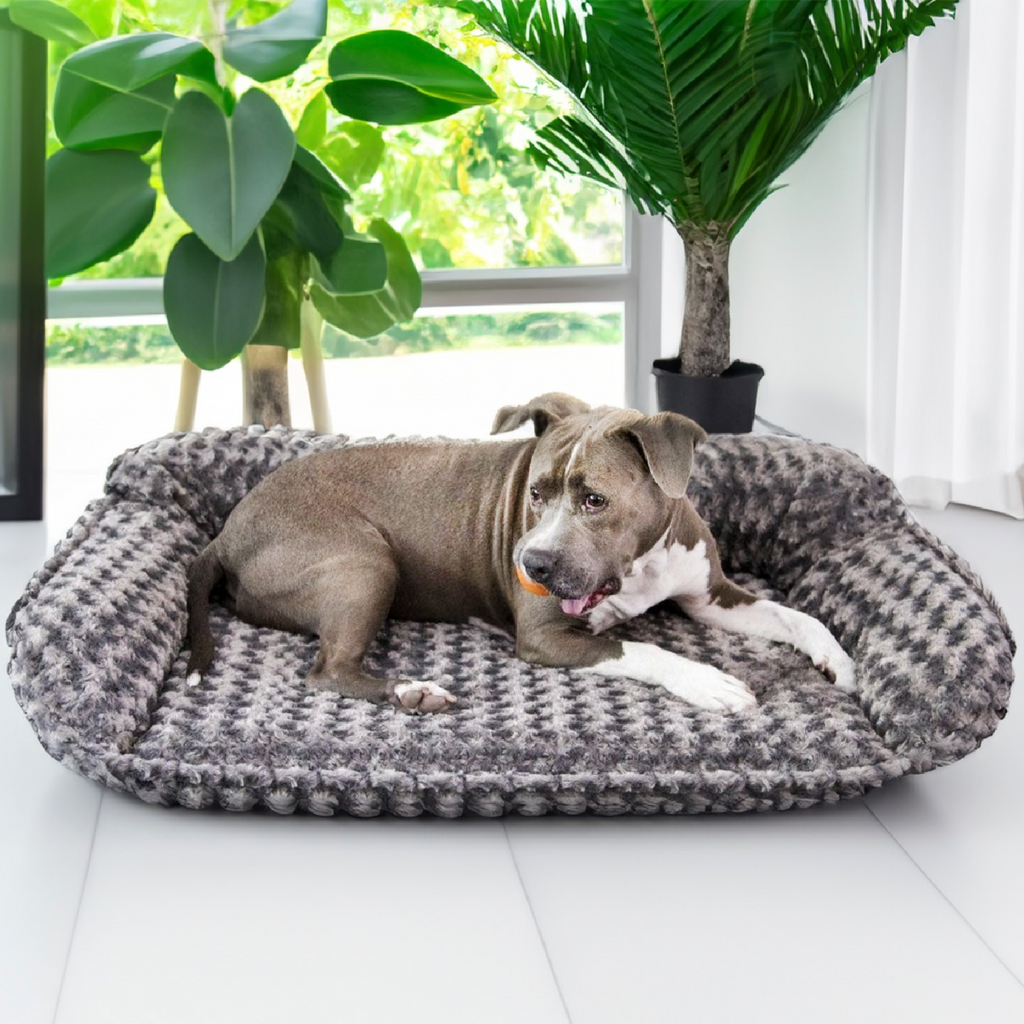 Animals Matter Katie Puff Ortho Companion-Pedic Luxury Dog Bed XL / Chocolate | Premium Pet Supplies for Dogs & Puppies