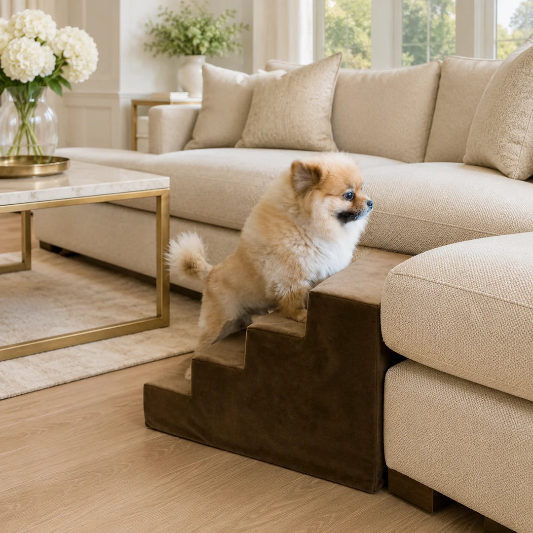 Animals Matter Pup Stairs Mocha luxury dog stairs in a bright living room, featuring a small Companion using mocha pet steps beside a cream sofa