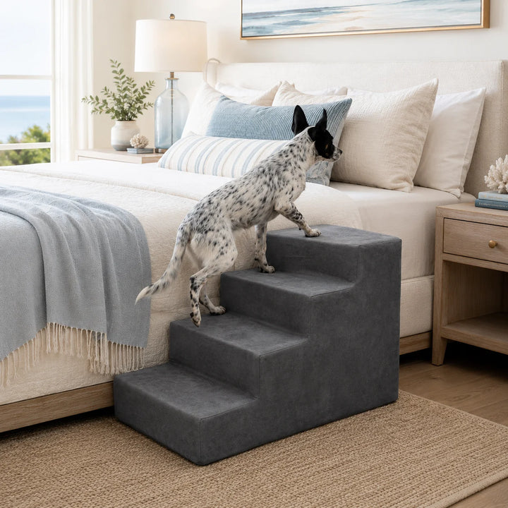 Animals Matter Mini 4-Step luxury dog stairs in Charcoal beside a coastal bed, featuring a spotted Companion using the steps to reach the bed.