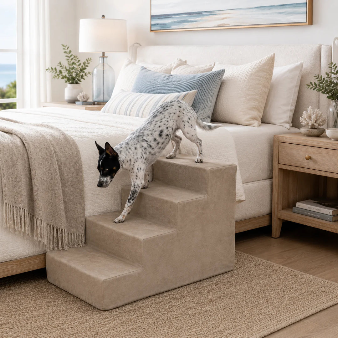 Animals Matter Mini 4-Step luxury dog stairs in Stone beside a coastal bed, featuring a spotted Companion stepping down with ease.