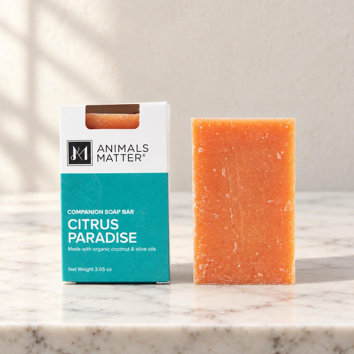 Organic Companion Soap Bar in Citrus Paradise