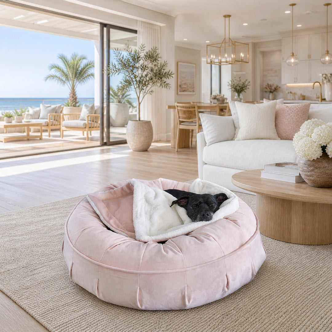 Ali Jewel® Ortho Puff™ Companion - Pedic® Luxury Dog Bed - Animals Matter, Inc.