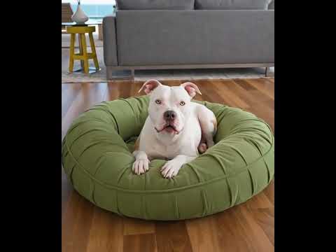 L.A. Dog Company® Ali Donut®