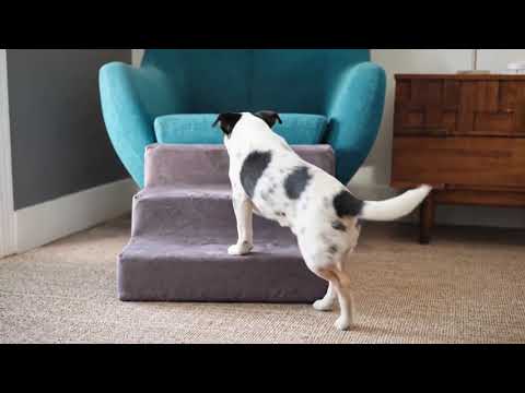 A video from our youtube page showing a puppy going up the mini 3 step charcoal to get on the couch 