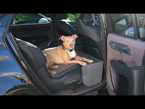 Companion Backseat Extender®