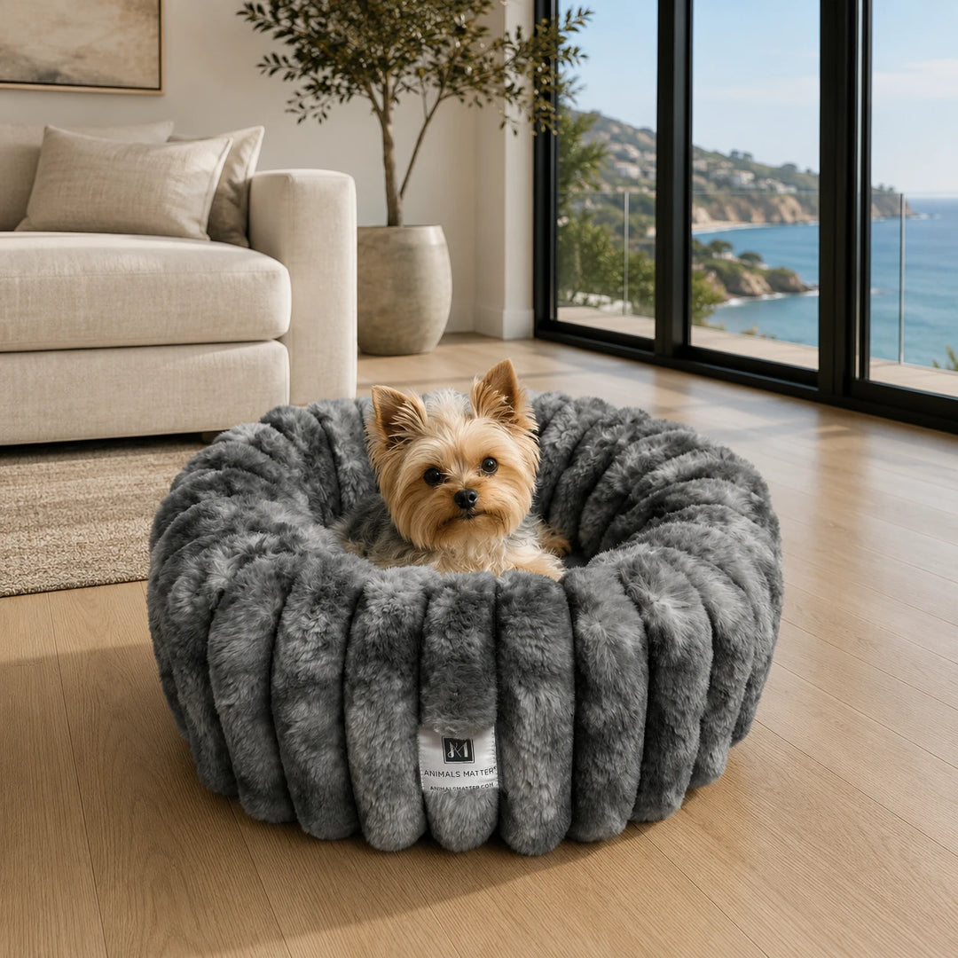 Yorkshire Terrier nesting in the Graphite Puffette™ plush luxury small dog bed, size XS, with ocean view