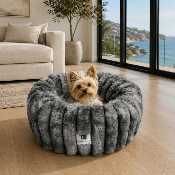 Yorkshire Terrier nesting in the Graphite Puffette™ plush luxury small dog bed, size XS, with ocean view