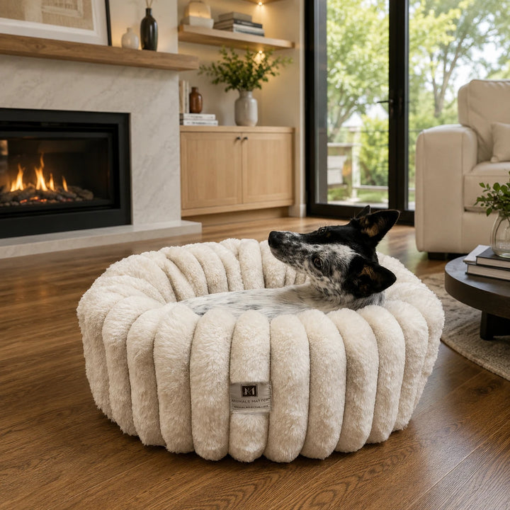 Small spotted dog resting in the Travertine Puffette™ plush luxury dog bed, size Small, by a fireplace
