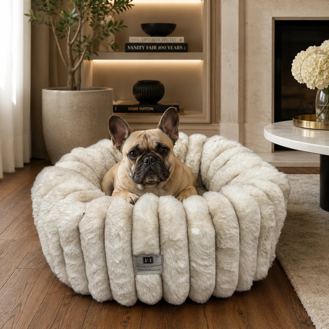 French Bulldog lying in the Travertine Puffette™ plush luxury dog bed, size Small, filled with LUXURA-FILL® fiber