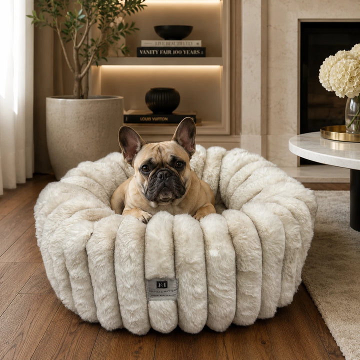 French Bulldog lying in the Travertine Puffette™ plush luxury dog bed, size Small, filled with LUXURA-FILL® fiber